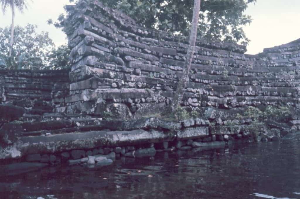 By Dr. James P. McVey, NOAA Sea Grant Program [Public domain].