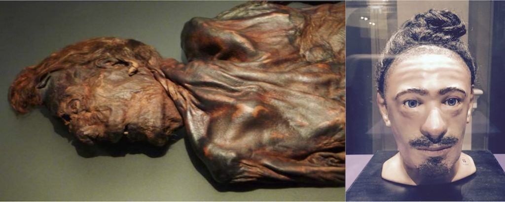 Clonycavan Man and his facial reconstruction. One theory suggests that he wore his hair up to make himself appear taller than his 5ft 2in stature.