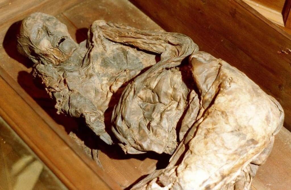 bog bodies Huldremose