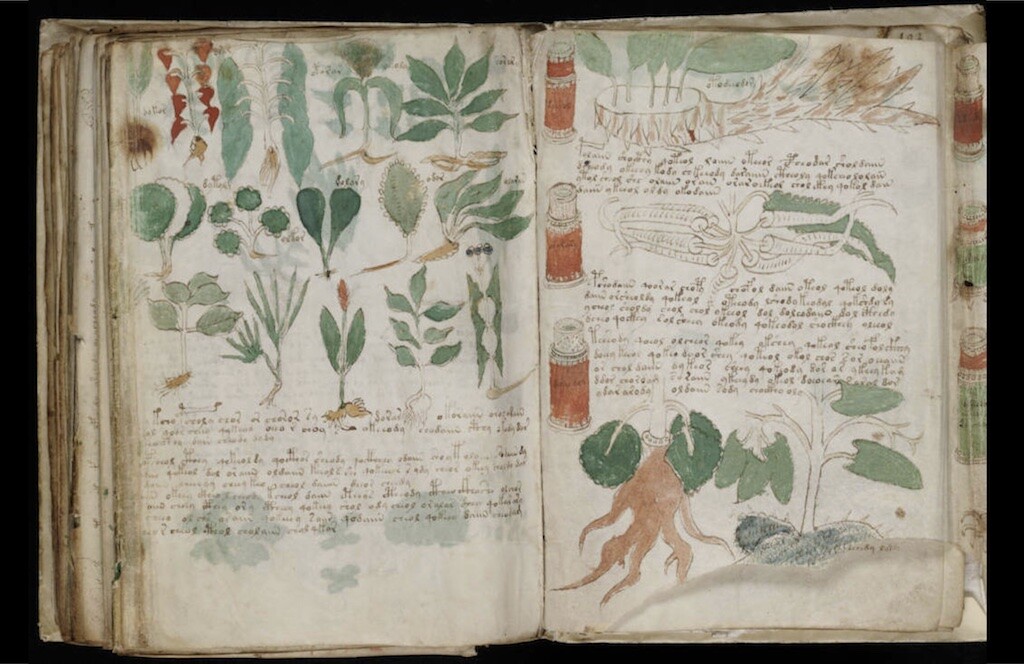 The Voynich Manuscript is a mysterious manual containing an undeciphered text and illustrations on plants, women's health, and astronomy.