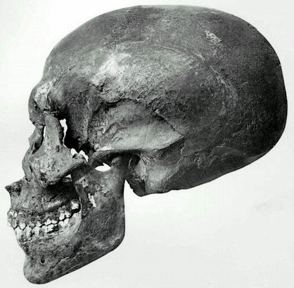 The skull of the mummy in Tomb 55.