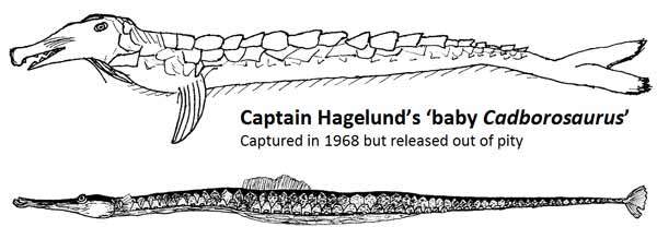 Hagelunds baby Cadborosaurus and a pipefish.
