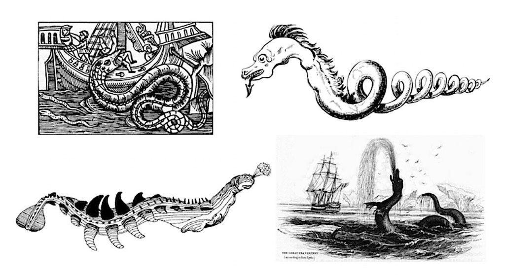 Cadborosaurus is purportedly a cryptid sea serpent which has many descriptions. Image compilation: Historic Mysteries.