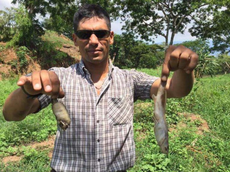 Raining Fish in Honduras Lluvia de Peces Historic Mysteries