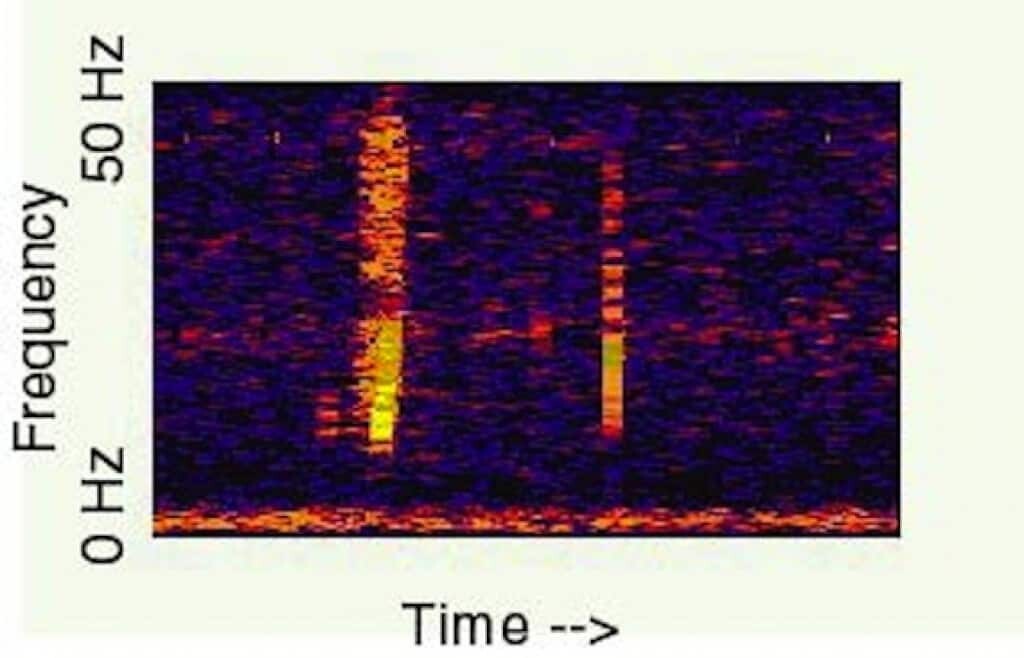 The Bloop Spectrogram courtesy of the NOAA.