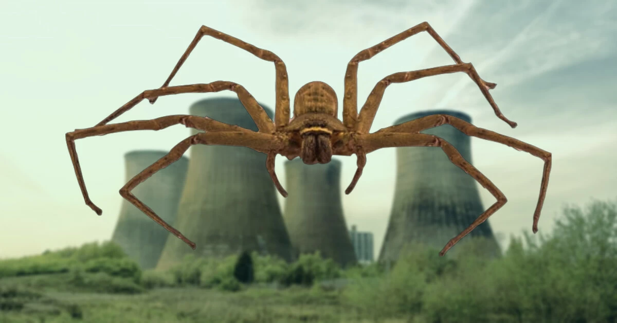 Scientists Reveal New 'Ghost' Spider Found at Power Plant