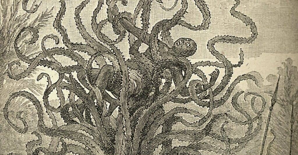 carnivorous plants and trees.