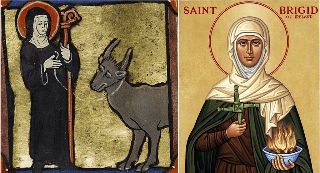 [Obrazek: St.-Brigid-with-cow-and-fire.jpg]