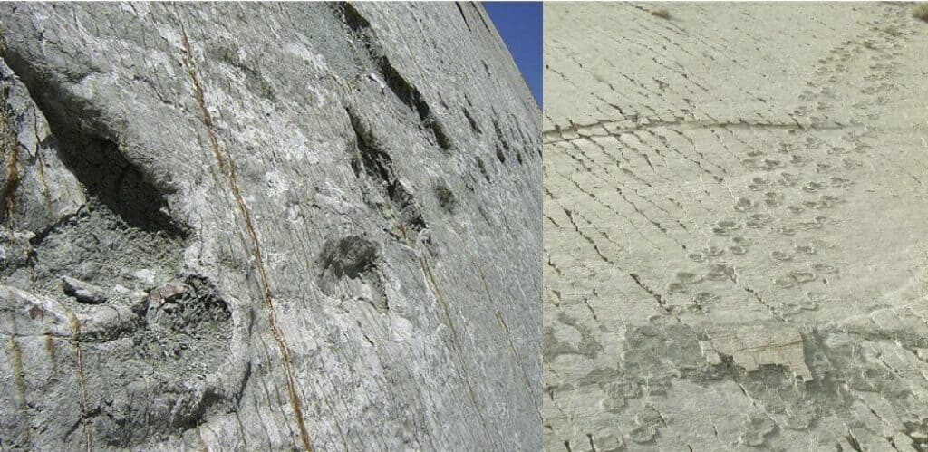 cal orcko dinosaur wall bolivia.