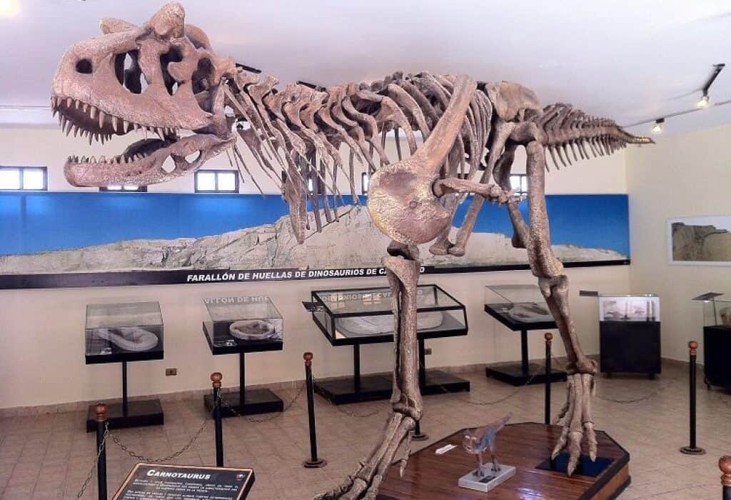 cal orcko Cretaceous park