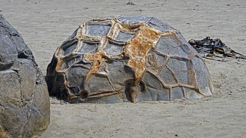 Moeraki Boulder