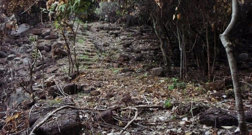 mysterious stairs in the forest of mMount Kulen.