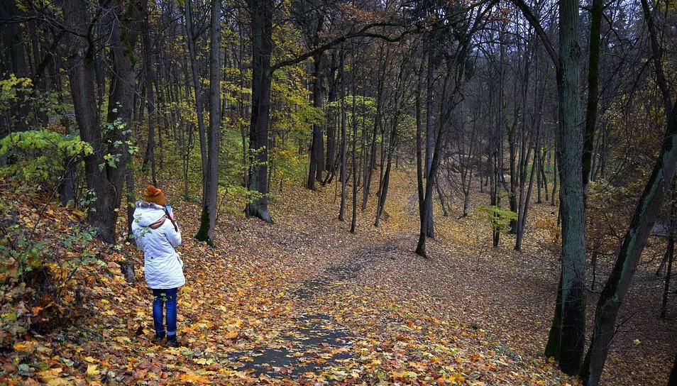 Thousands of Missing 411 victims disappear each year.