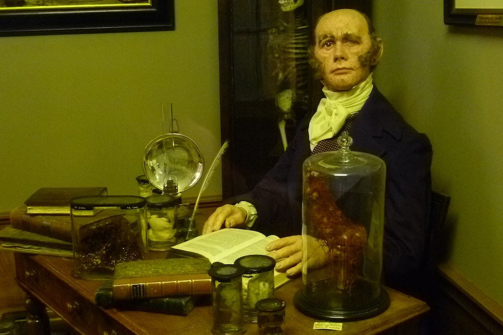 Dr. Robert Knox