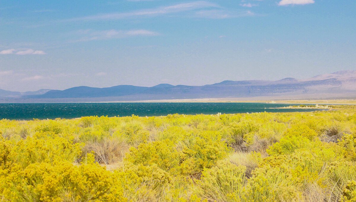 View of Mono Lake