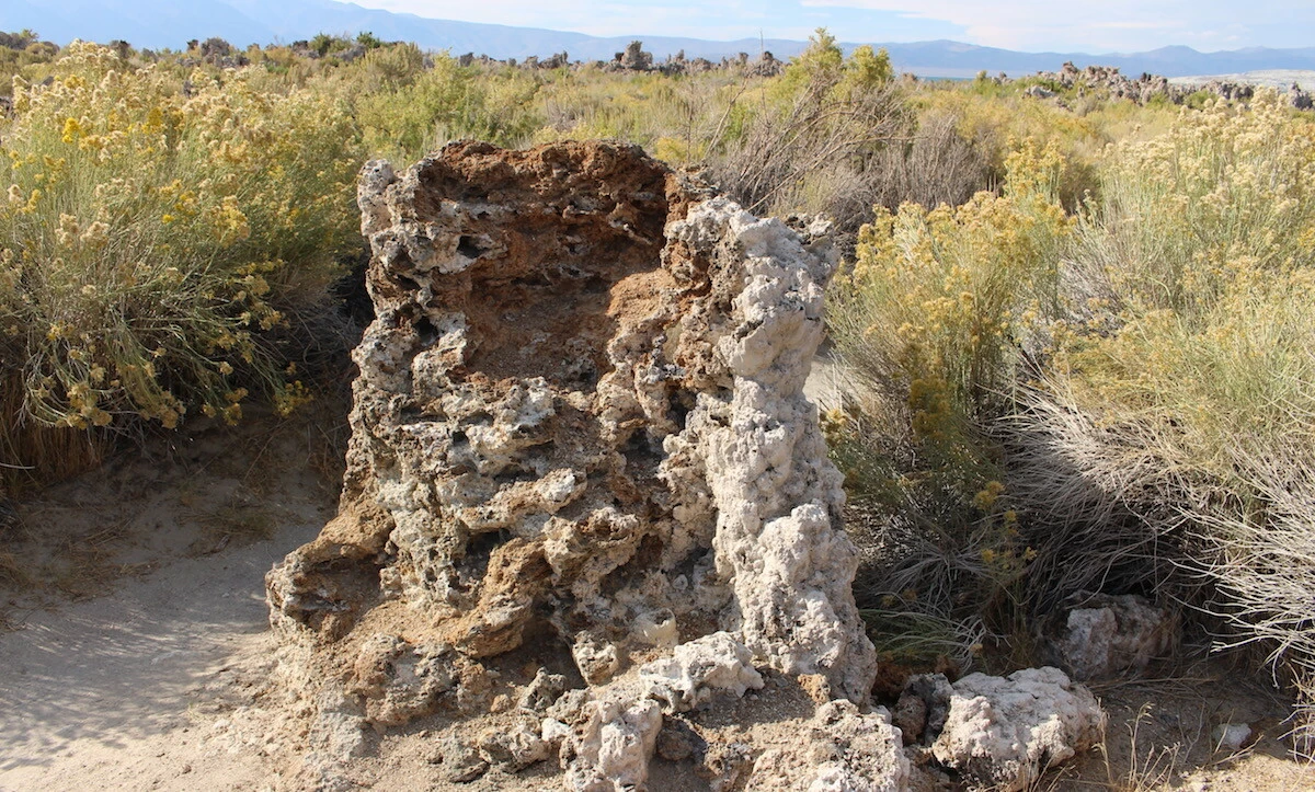 close-up of tufa tower at mono lake
