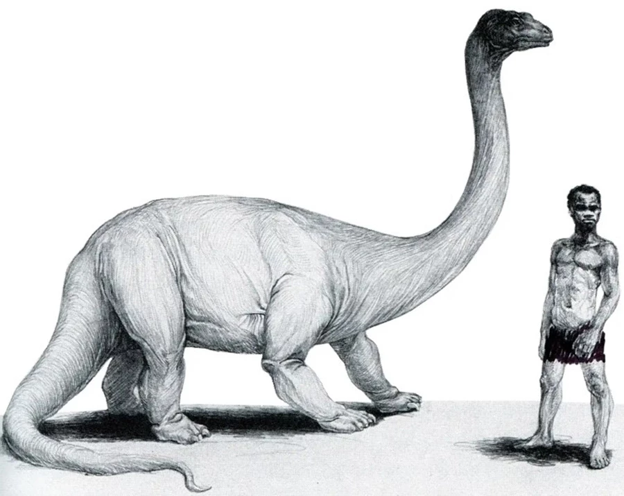 Mokele-Mbembe: A Dinosaur Hidden in the Jungles of Africa? - Historic  Mysteries