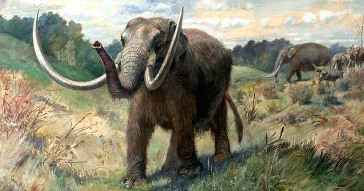Rewriting History: What do the Cerutti Mastodons Show Us? - Historic ...