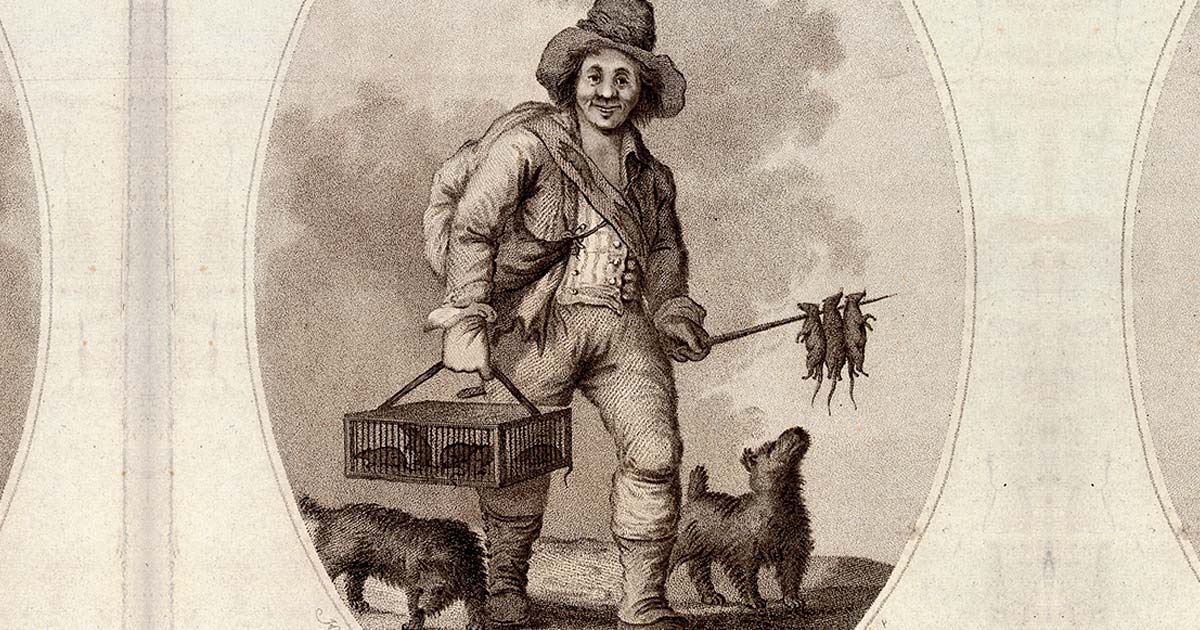 The Surprising History and Legacy of the Victorian Rat Catchers