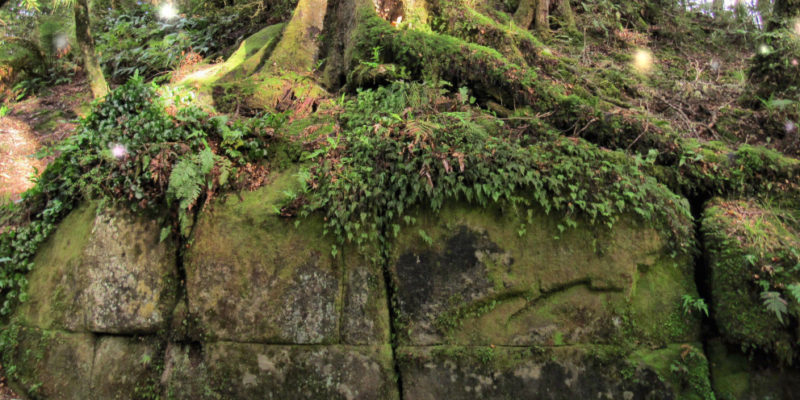 Does the Kaimanawa Wall Re-Write New Zealand’s History?