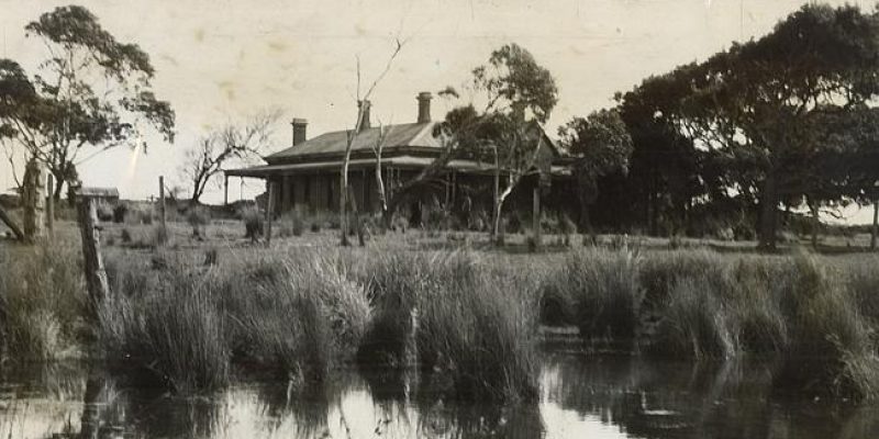 Lady of the Swamp: Margaret Clement